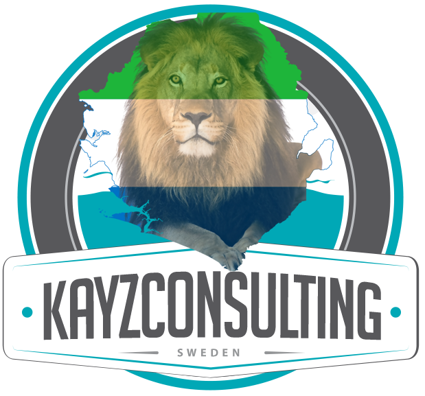 Kayzconsulting Logo